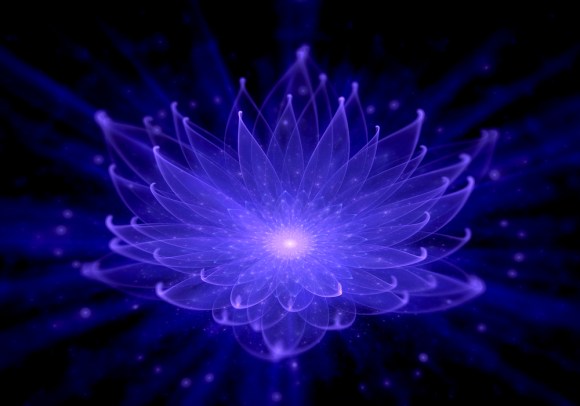 Meditation Lotus Tranquility Peace Beauty Radiance Joy