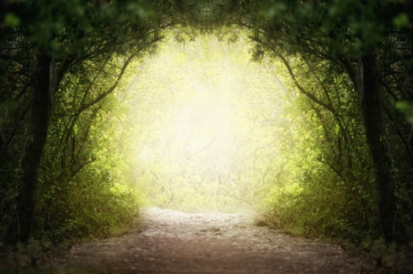 Fantasy green road to magic bright fairy tale forest.