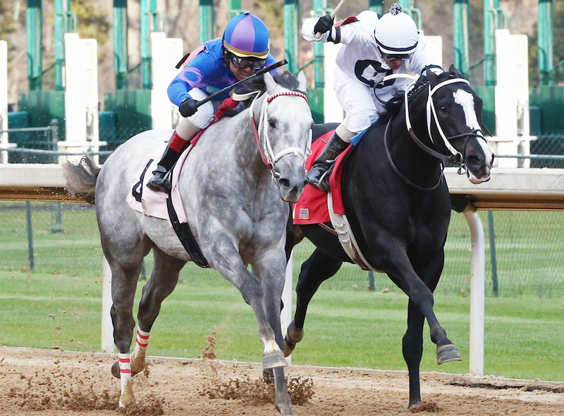 BREEDERS CUP FINISH